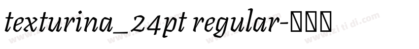 texturina_24pt regular字体转换 texturina_24pt regular字体转换